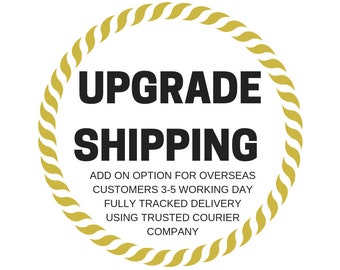 UPGRADE SHIPPING for overseas customers for shorter delivery time