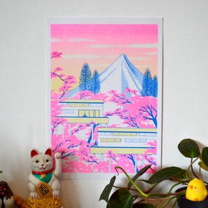 Fuji - A4 Risograph print