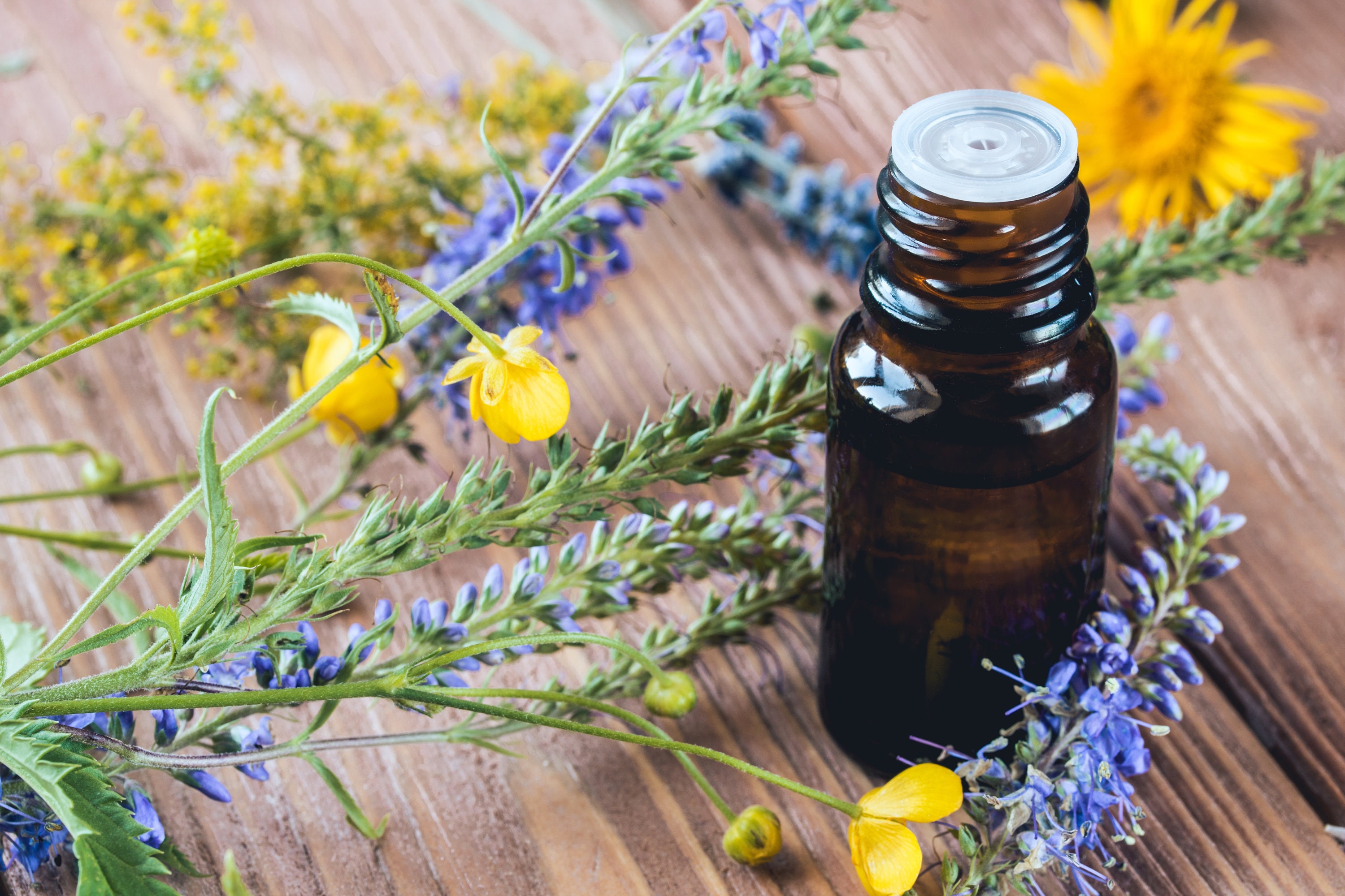 Hyacinth Fragrance Oil Dewy Bloom & Spring Garden