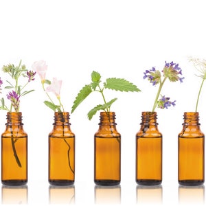 Chakra Oil Set
