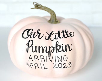 Gender Reveal Pumpkin Sign, Custom 2024 Pregnancy Announcement Pumpkins, Personalized Pink Blue Pumpkin, New Baby Photos, Fall Autumn Decor