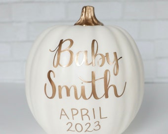 Baby Announcement Pumpkins, Gender Reveal Pumpkin, Pregnancy Instagram Sign, Personalized Pink Blue Pumpkin, New Baby Fall Photo Shoot Prop