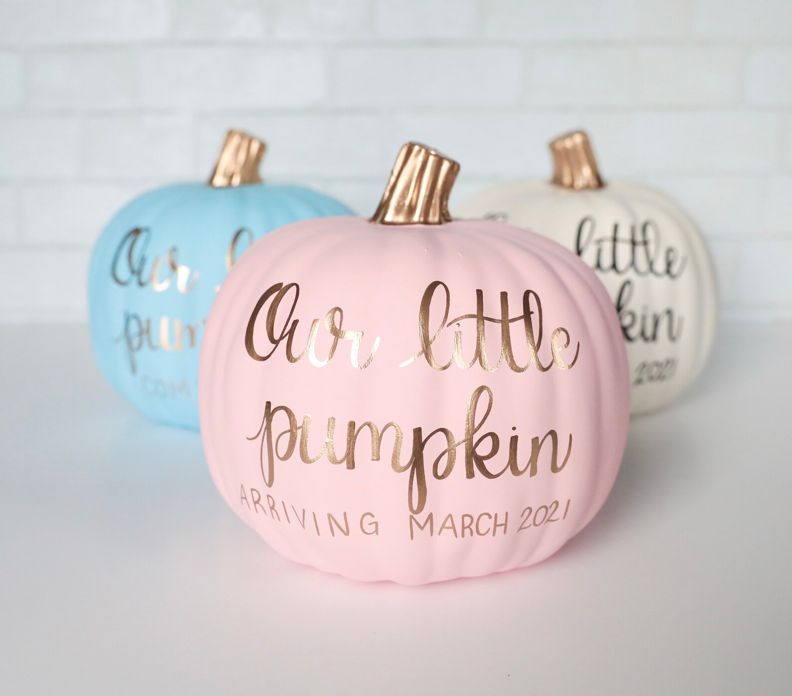Gender Reveal Pumpkin Custom Pregnancy Announcement Pumpkins Etsy