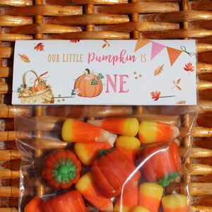 Little Pumpkin 1st Birthday Treat Bags: Fall Autumn Party Favors (Set of 1 Dozen)
