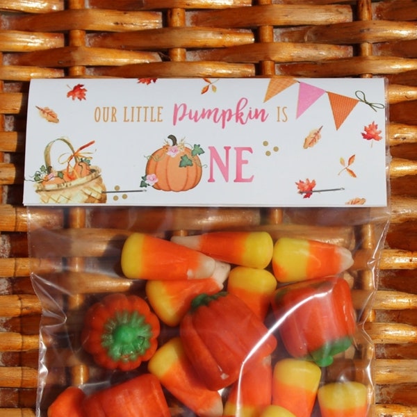 Little Pumpkin Boy/Girl 1st Birthday Treat Bags| Fall 1st Birthday | Boy/Girl 2nd Birthday | Boho Autumn Little Pumpkin - Sets of 1 dozen