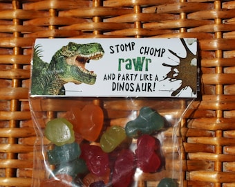 Bolsas de regalo para fiesta de dinosaurios: Recuerdos de cumpleaños personalizados con temática de dinosaurios (Paquete de 12)