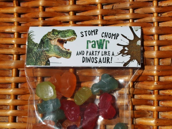 Dinosaur Party Dinosaur Birthday Party Tops Treat Bags Dino Party