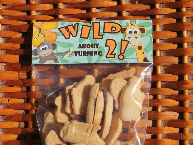 Jungle Birthday Party Favor | Wild One Birthday | Zoo Birthday Treat …
