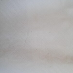 Broderie Anglaise Ruffle Blouse image 7
