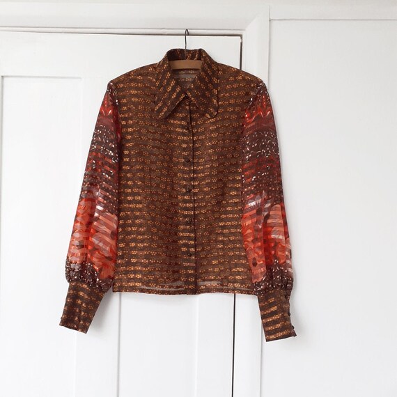 Brown Balloon Sleeve Blouse