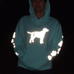 Reflective hoodie hotsell