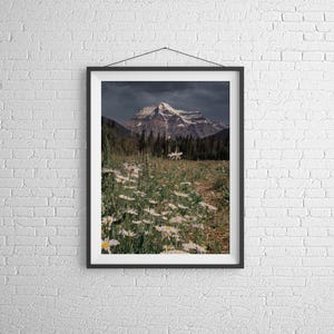 MT Robson Landscape Photography | British Columbia Canada Rockies Mountain Wall Art - Home Decor Gifts