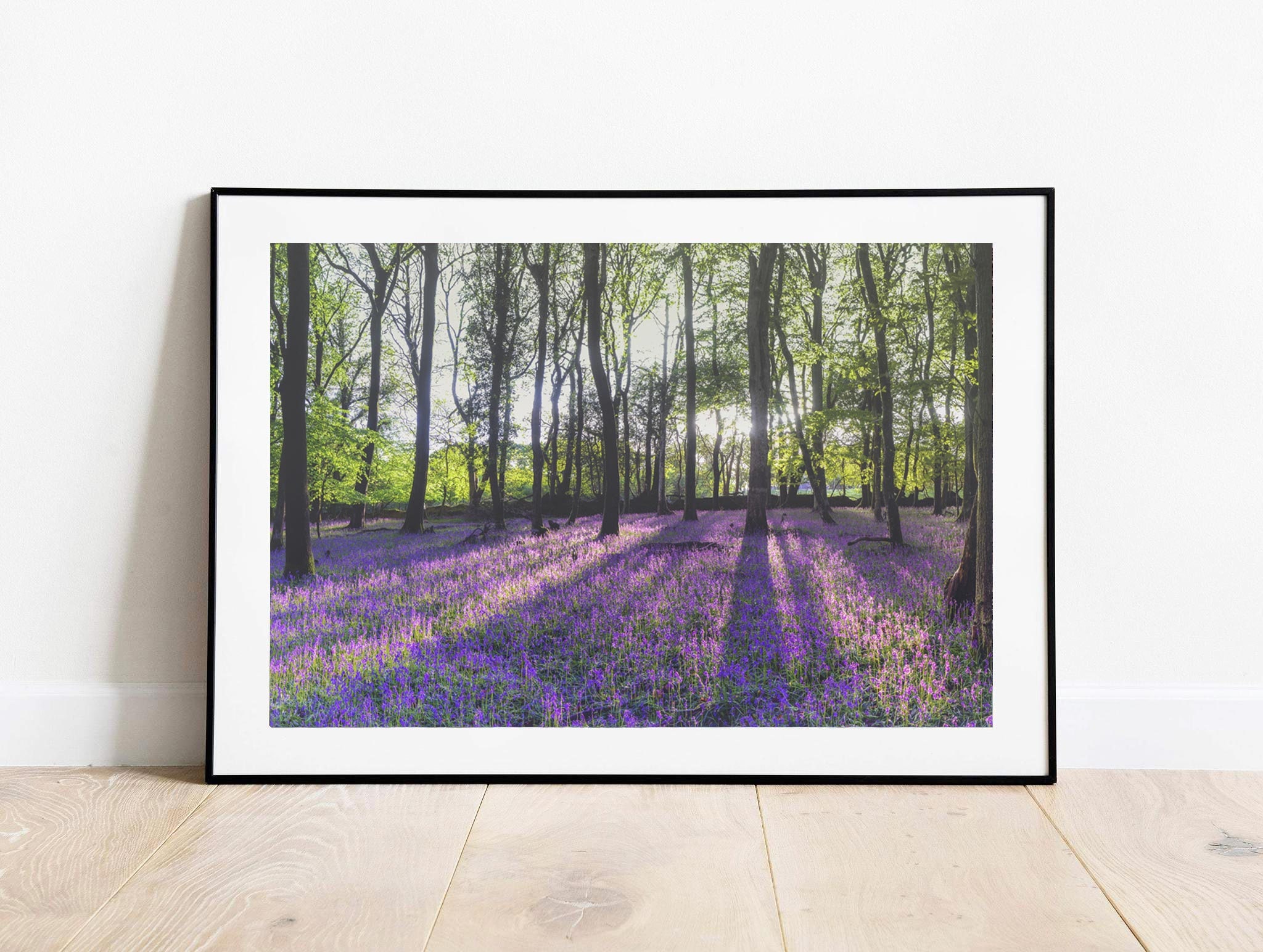 Print / Canvas of Bluebells Wall Art Woodland Wildflowers Etsy
