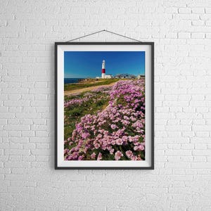 Dorset art of Portland Bill Lighthouse | Jurassic Coast Pictures  - Home Decor Gifts Wall Decor Christmas Photo Gifts Nature Pictures