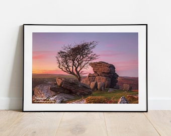 Dartmoor Hawthorn Tree Print: Haytor Rocks Landscape Photography