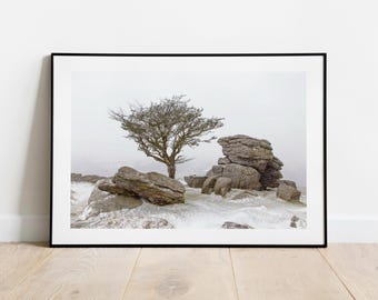 Dartmoor Winter Landscape Print: Hawthorn Tree Photography