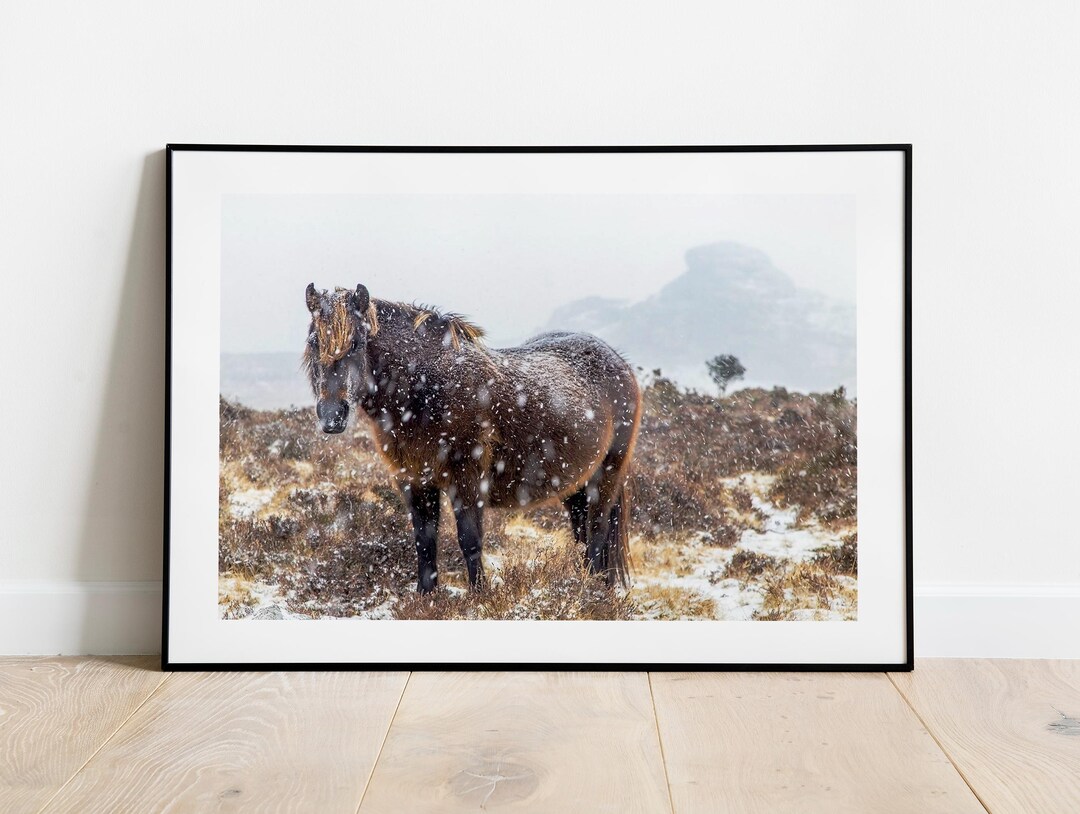 Dartmoor Pony Print | Haytor Rocks in the Snow, Equine Wall Art - Home ...