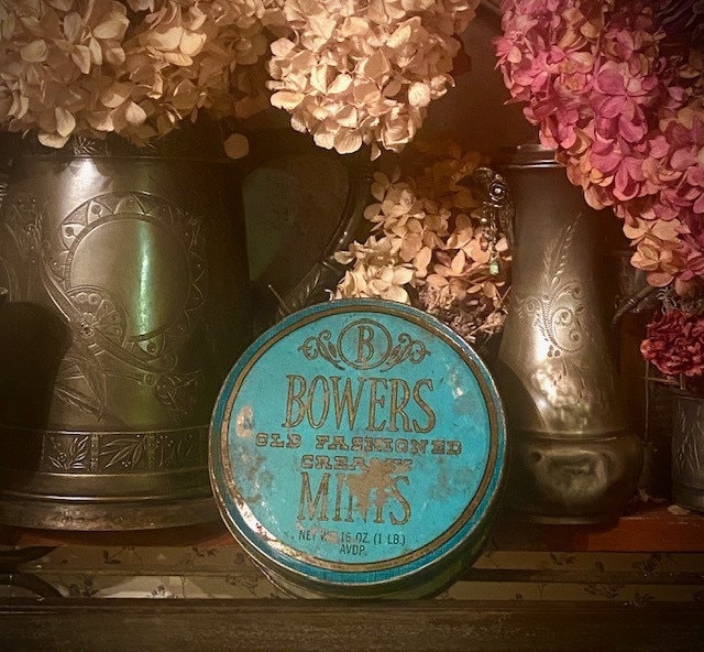 Blue Bird Mints Tin - Etsy