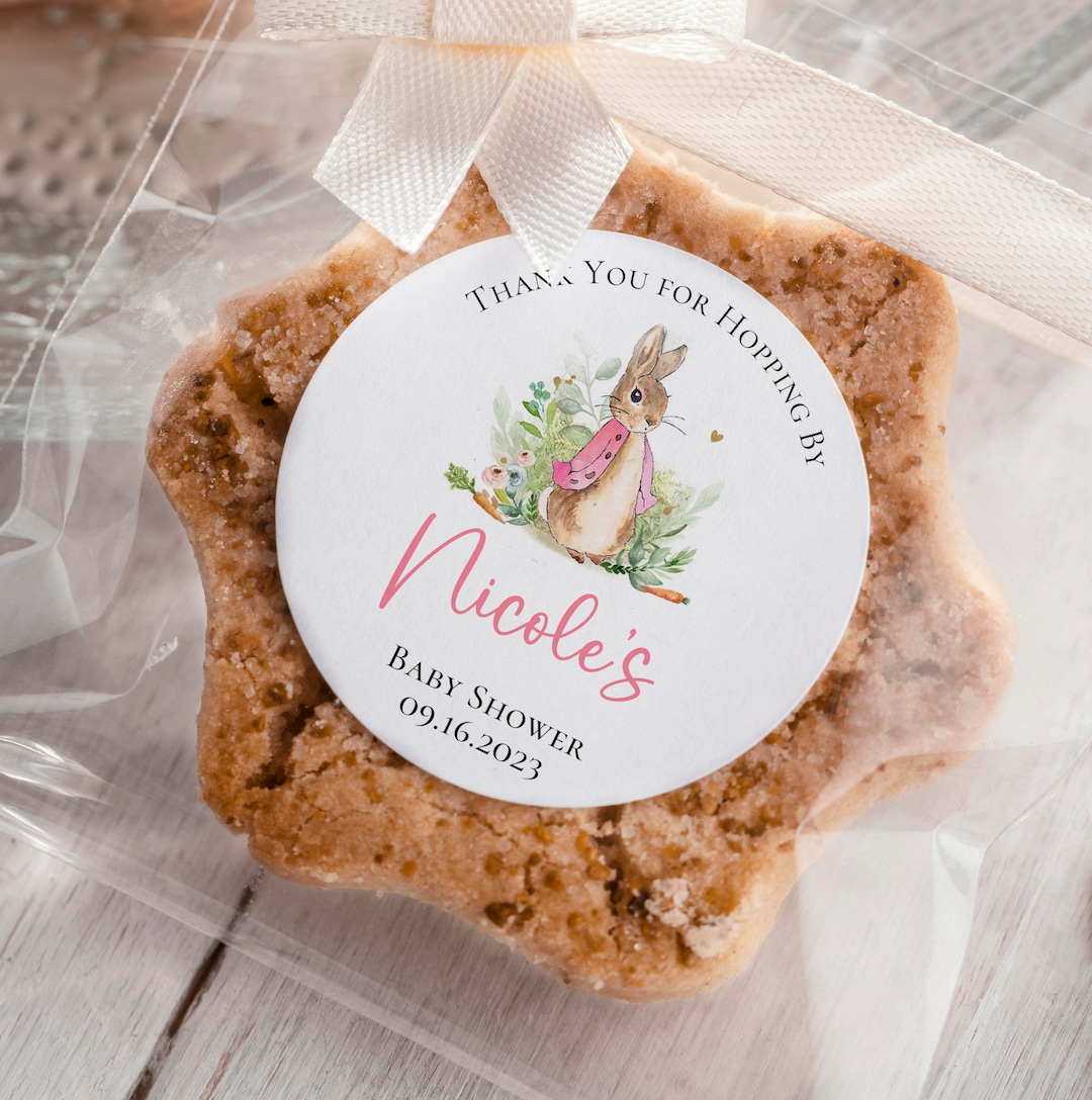 Flopsy Bunny Hopping By, Peter Rabbit Theme, Pink Jacket, Baby Shower ...