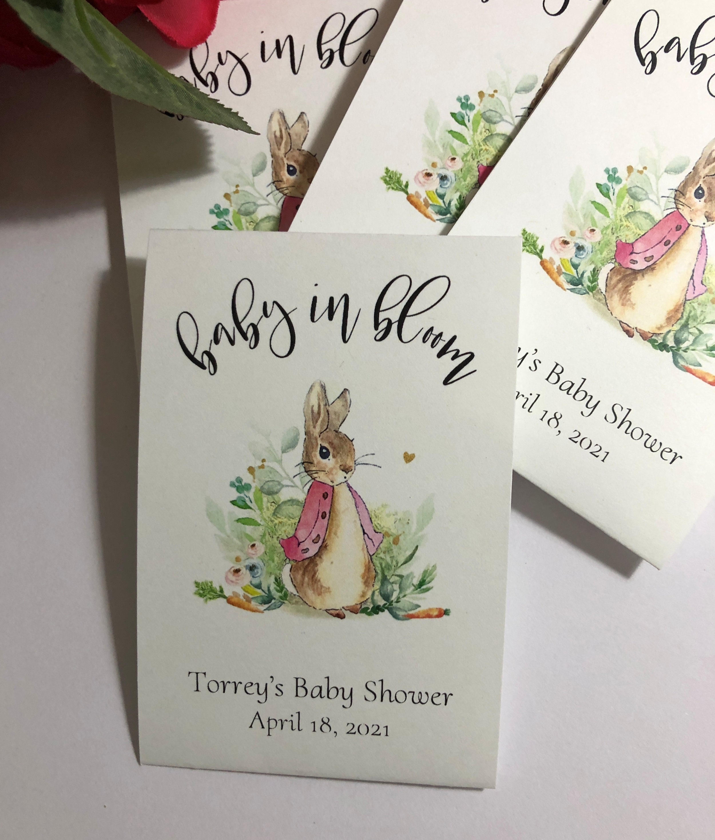 Baby in Bloom Flopsy Bunny Peter Rabbit Theme Personalized | Etsy