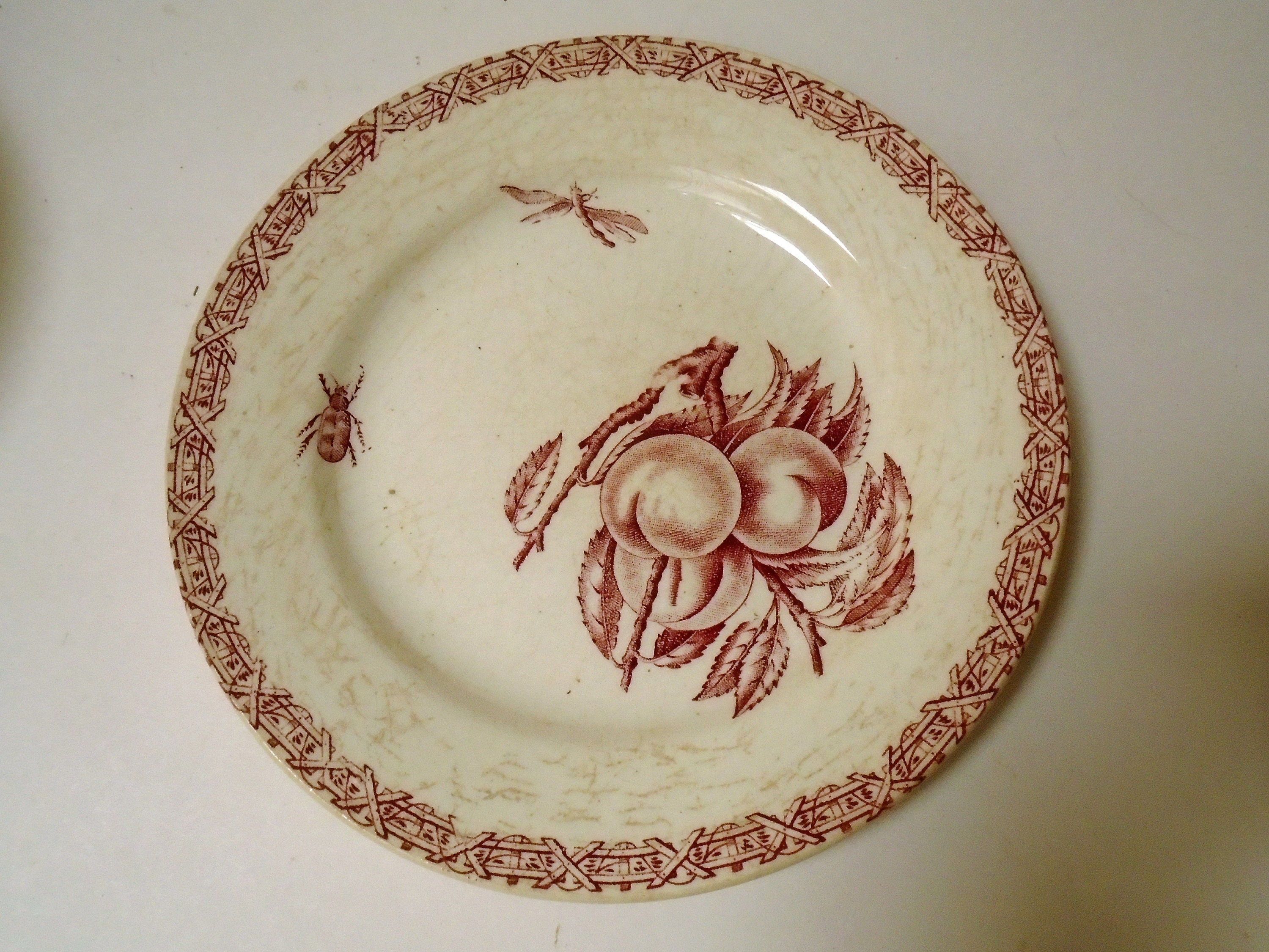 Antique French Choisy Le Roi Ironstone plates set of 5