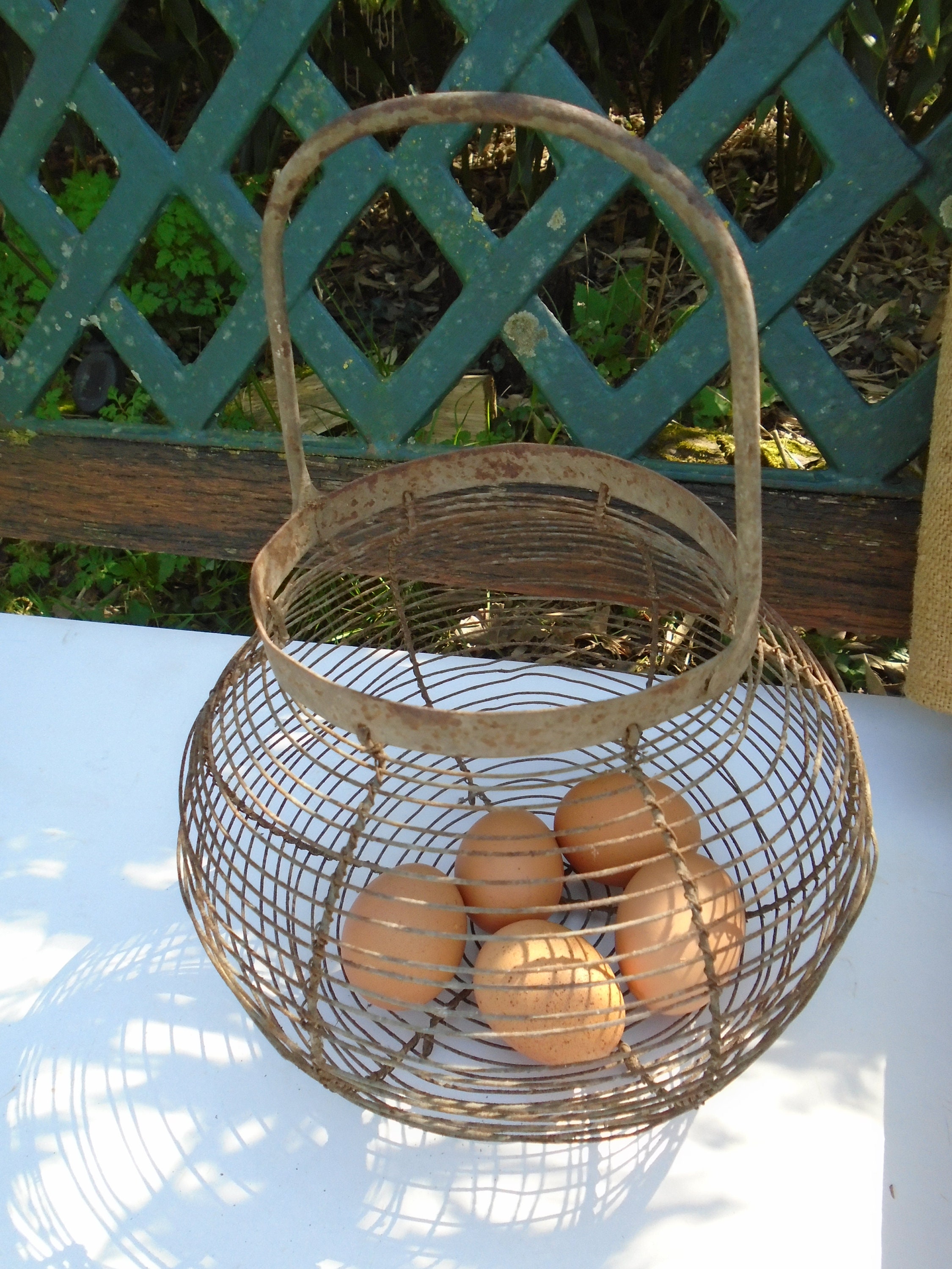 Lovely Rustic Antique French Wire Egg Collecting Basket / Etsy