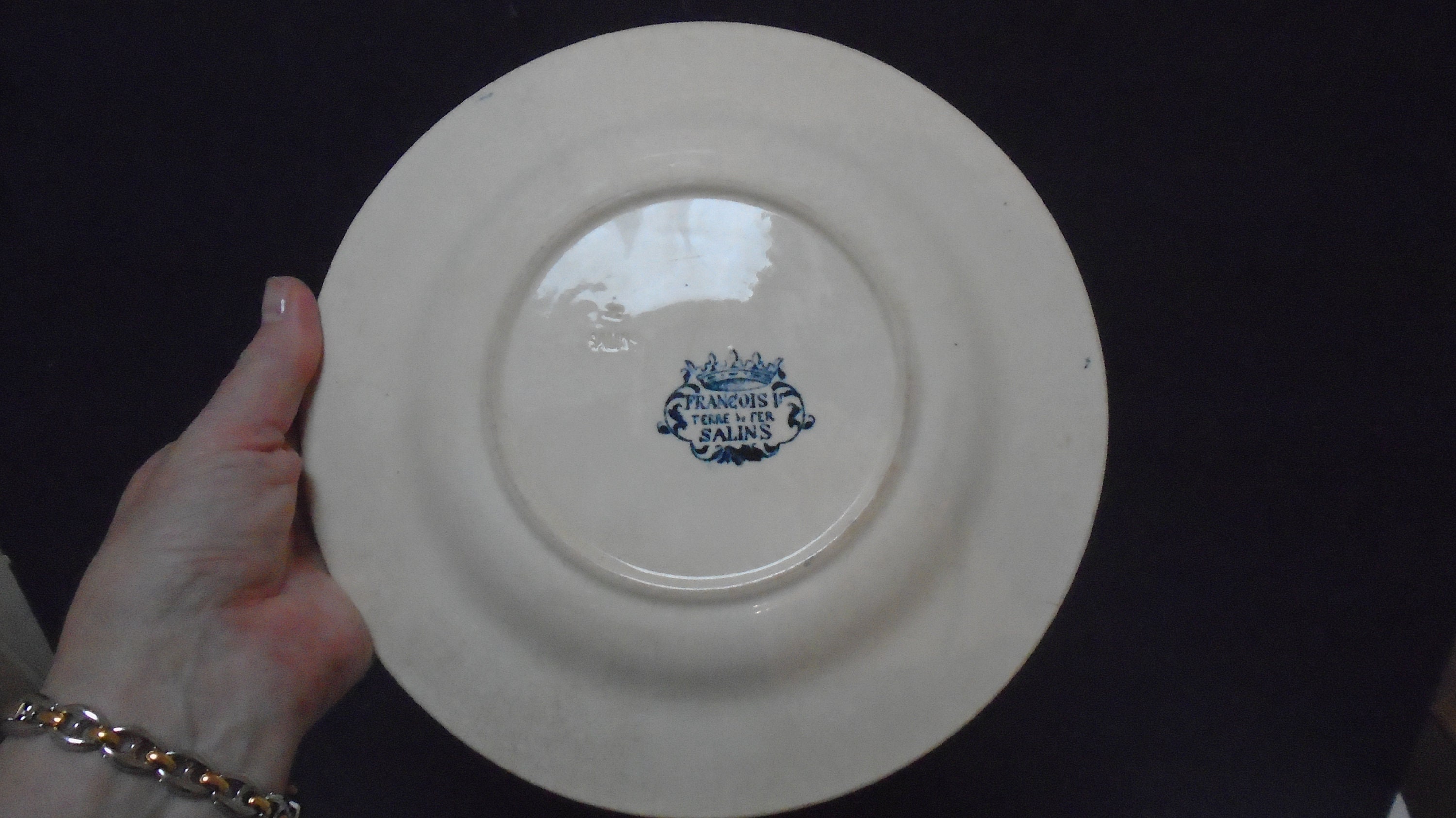Antique French SALINS Terre De Fer Ironstone Dinner Plate