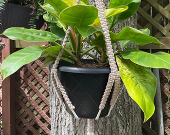 Macrame Plant Hanger / Modern Minimalist Hanger / Eco Gift / Boho Plant Holder / Cotton Macrame
