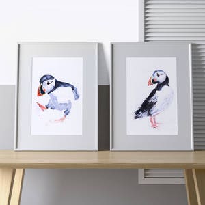 Puffin Watercolour Painting Signed Limited Edition Prints Home Decor House Warming Gift Puffins Sea Bird Living Room Art British Wildlife