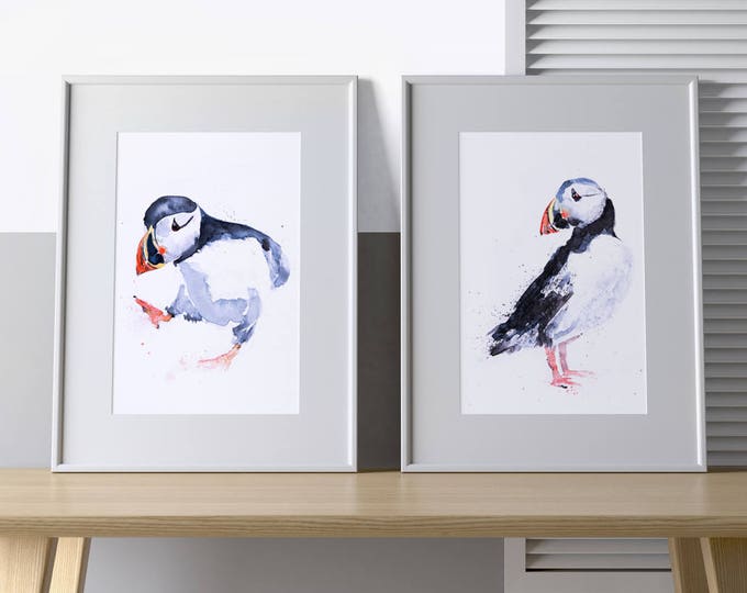 Puffin Watercolour Painting Signed Limited Edition Prints Home Decor House Warming Gift Puffins Sea Bird Living Room Art British Wildlife