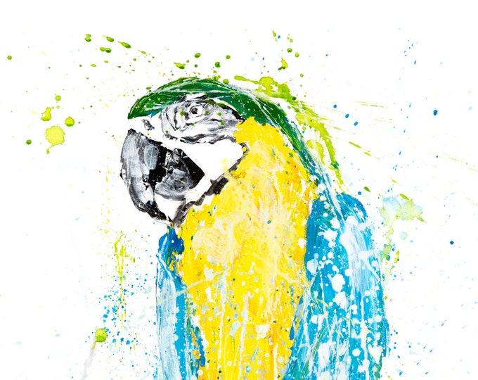 Parrot No.1  - Signed Limited Edition Print of my Original Watercolour Painting of a Parrot