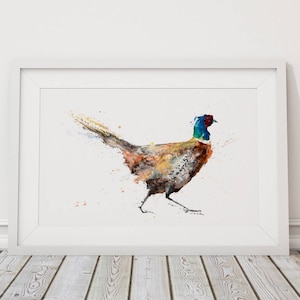 Pheasant Painting - Pheasant Art - Hand Signed Limited Edition Pheasant Print of My Original Watercolour Painting of a Pheasant - Numbered
