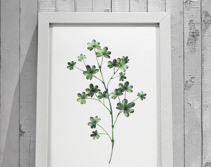 Botanical Leaf Print No.1 on Watercolour Paper - Fine Art Print of a Leaf Watercolour Painting