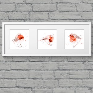 3 Fat Robin Red Breasts - Hand Signed limited edition Prints of my Original Watercolour Painting of Robin Birds Wall Art Nursery Art decor