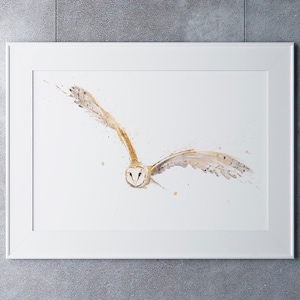 Barn Owl Watercolor Owl Painting Barn Owl Wall Art Bird Watercolour Painting Signed Limited Edition Print of my Original Watercolour