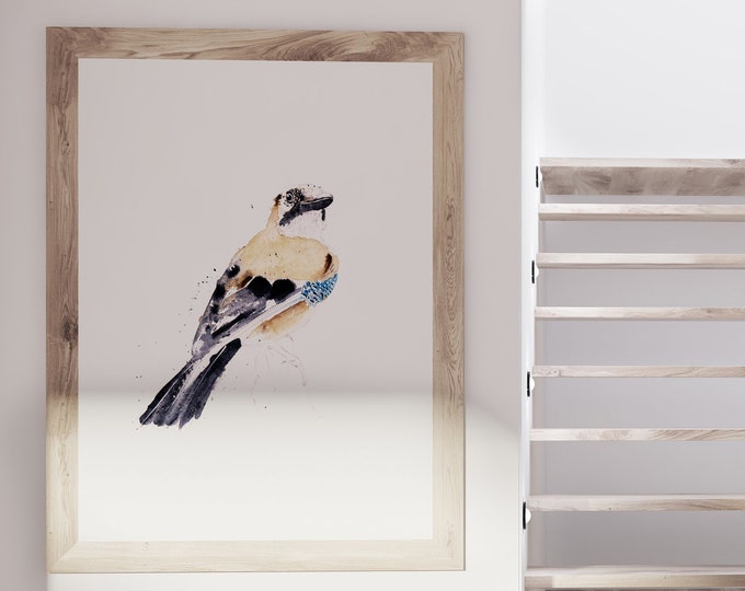 Jay Painting - Jay Bird Art - Hand Signed, Numbered, Dated and Embossed Limited Edition Print of my Watercolour Painting of a British Jay