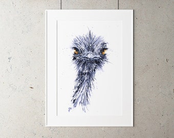 Signed Limited Edition Print of my Original Watercolour Painting of a Ostrich - Ostrich Painting Print