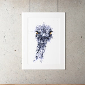 Signed Limited Edition Print of my Original Watercolour Painting of a Ostrich - Ostrich Painting Print