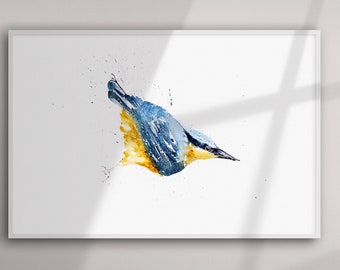 Nuthatch Painting - Nuthatch Watercolour Painting - Hand Signed Limited Edition Print of my Original Watercolour Painting of a Nuthatch