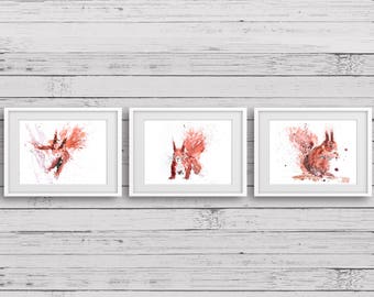 Squirrel Triple Print Hazel, Rusty Nuts & Squirrel No1 - Signed limited Edition Print of my Original Water Colour Paintings of Red Squirrels
