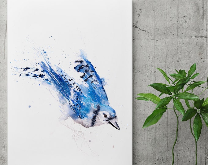 Blue Jay Painting - Blue Jay Art - Hand Signed, Numbered, Dated and Embossed Limited Edition Print of my Watercolour Painting of a Blue Jay