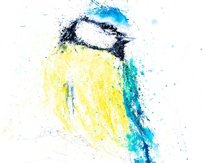 Blue Tit Painting No.12 - Hand Signed, Numbered, Dated and Embossed Limited Edition Print of my Watercolour Painting of a Blue Tit