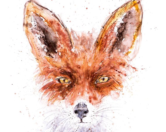 Original Fox Painting - Original Watercolour Fox Painting by Artist Syman Kaye - Signed and Embossed