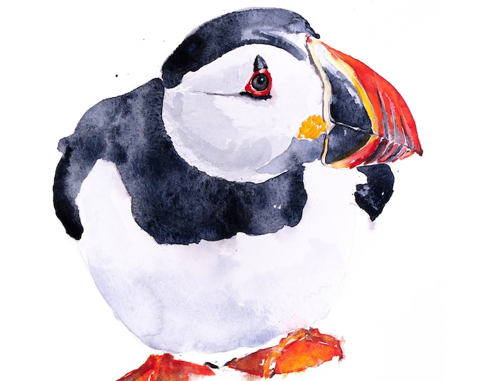 Puffin Painting Puffin Watercolour -  Puffin Wall Art  - Hand Signed, Numbered and Embossed Limited Edition Print of my Puffin Painting