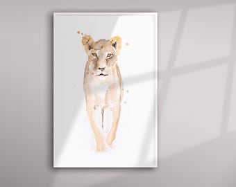 Wild African Animals