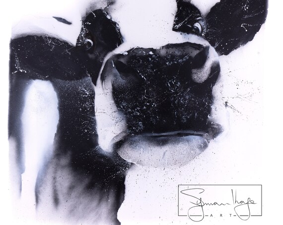 Street Art Cow Spray Painted Cow Graffiti Spray Painted Abstract Black & White Cow Hand Signed Limited Edition Print