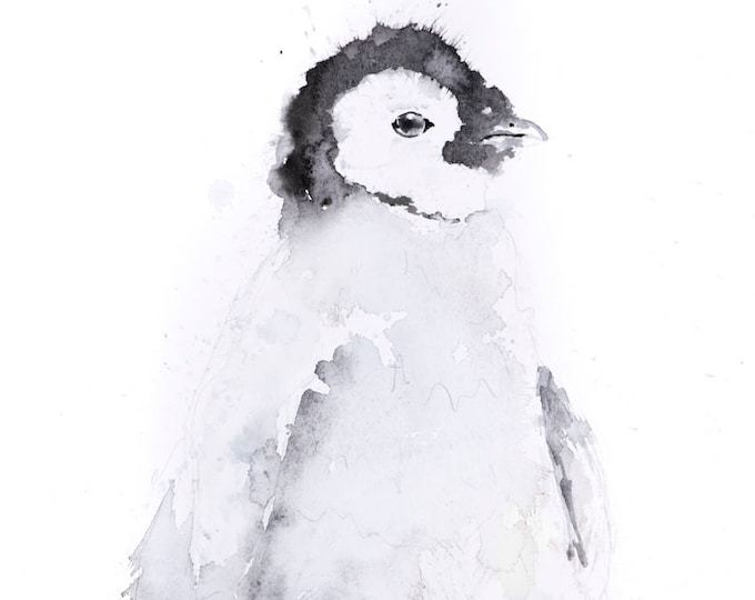 Mini Penguin No.2  - Limited Edition Signed Print of my original watercolour painting of a Baby Penguin - Decorative wall art fine art print