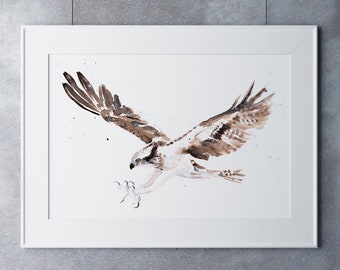 Osprey Painting Watercolour Painting -  Limited Edition Print of my Osprey Watercolour Painting