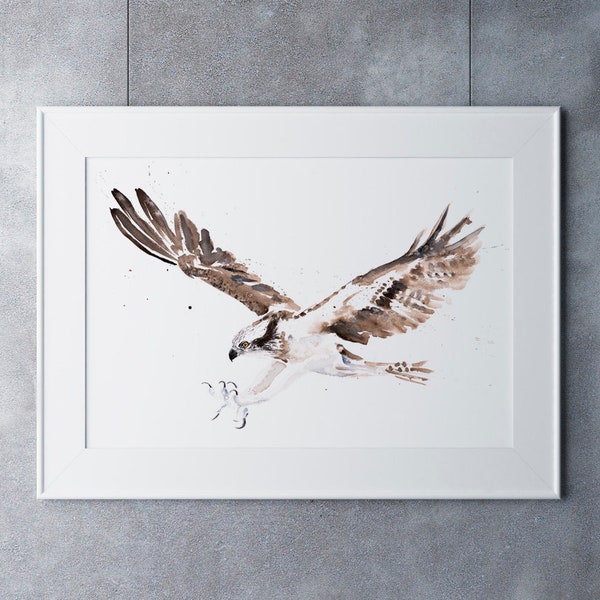 Osprey Painting Watercolour Painting -  Limited Edition Print of my Osprey Watercolour Painting