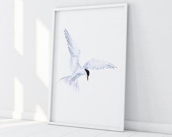 Flying Solo Arctic Tern Watercolour Painting - Hand Signed Limited Edition Print on Watercolour Paper of a Pair of Arctic Terns